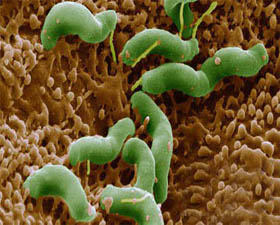 �Ϸ����Ǽ�θ��ҽԺ��