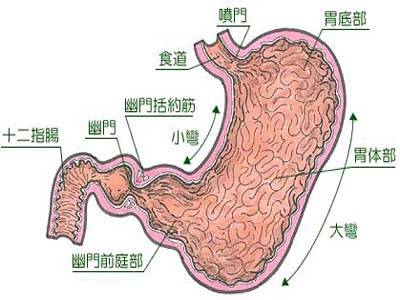 θ׻